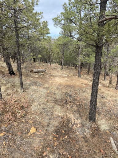 Wilderness Ridge tent pad site