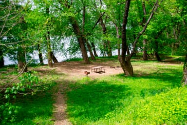 Bald Eagle Campground