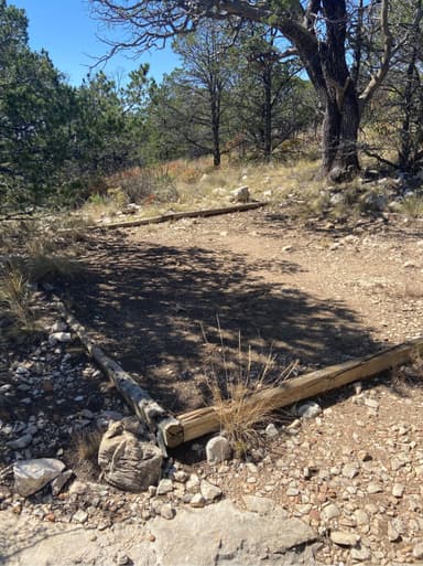 Pine Top tent pad