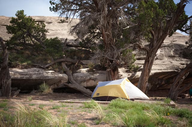 Needles Campground