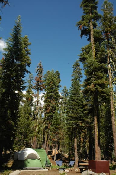 Campsite