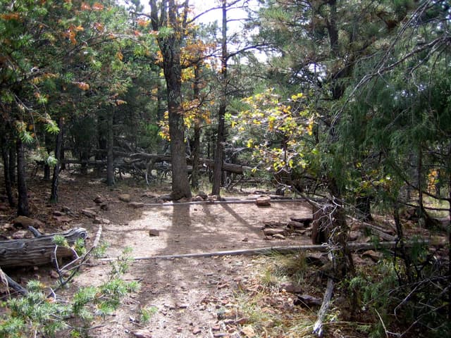 McKittrick Ridge tent pad