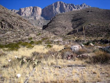 Shumard Canyon tent pad