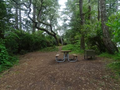 Glen Campsite 1. June 12, 2022.