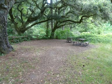 Glen Campsite 2. June 12, 2022.