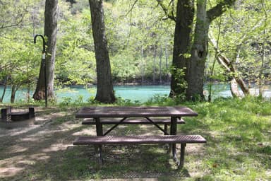 Big Tree Campsite Along River