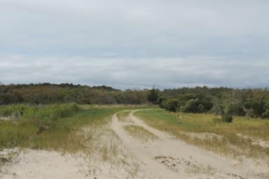 Pine Tree Access Road
