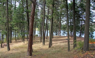 Walk-in Campsites