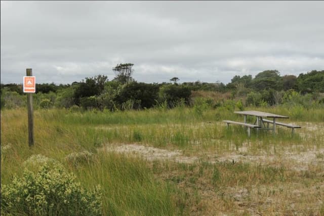 State Line Grassy Campsite