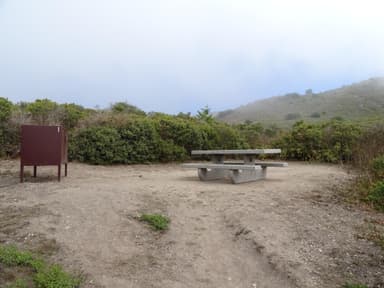 Coast Campsite 1. August 20, 2022.