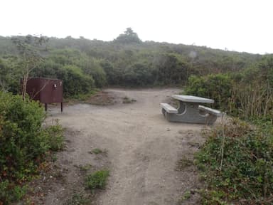 Coast Campsite 2. August 20, 2022.