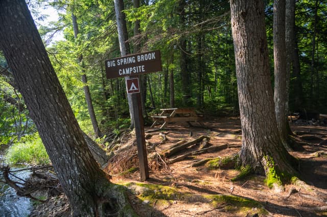 Big Spring Brook Campsite