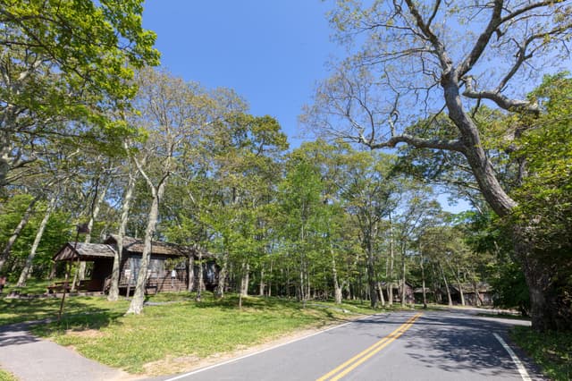 Lewis Mountain Campground