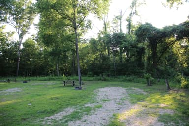 Jerktail Campsite 1