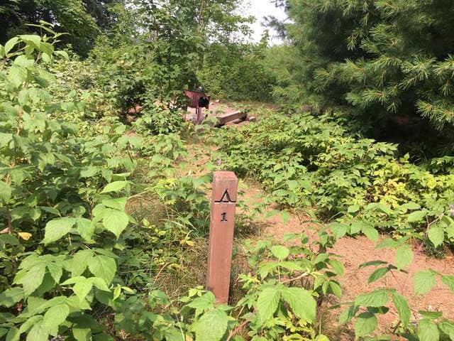 Lowney Creek Individual Backpacking Sites
