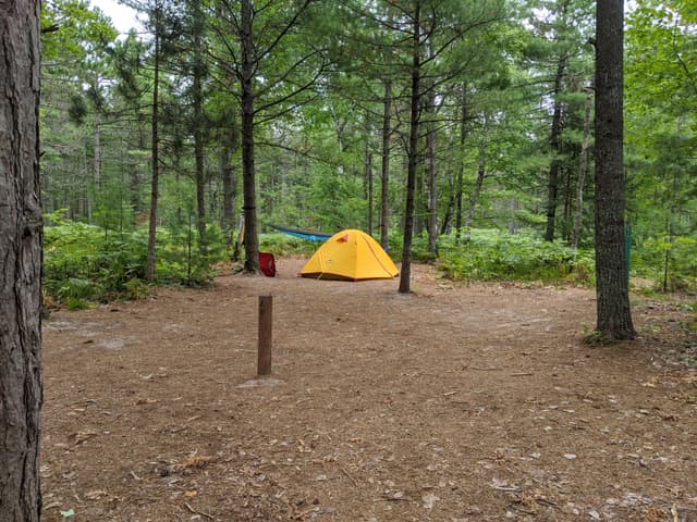 Pine Bluff Backpacking Site