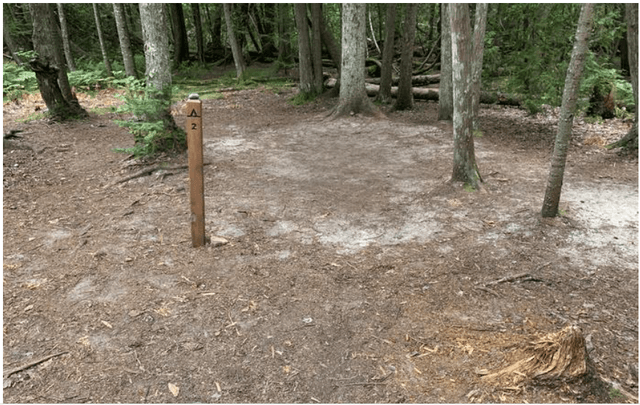 AuSable East Backpacking Site