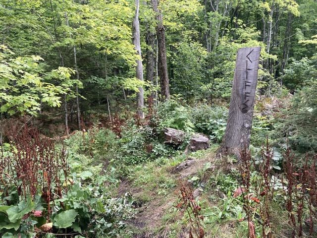 Cliffs Individual Backpacking Site