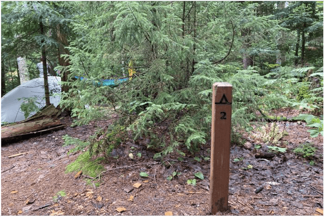 Chapel Beach Individual Backpacking Sites