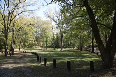 Gooseneck Campsite with Dappled Shade