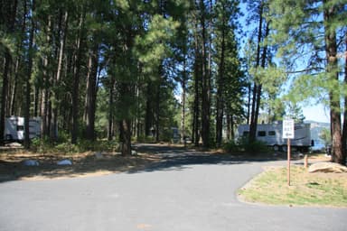 Snag Cove Campground 1
