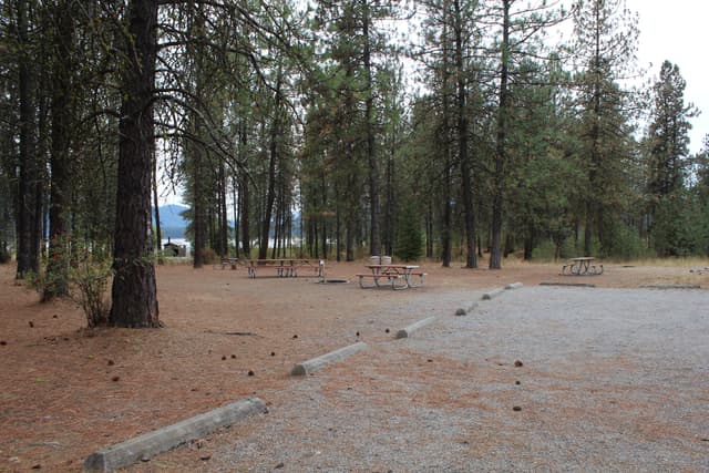 Group Site