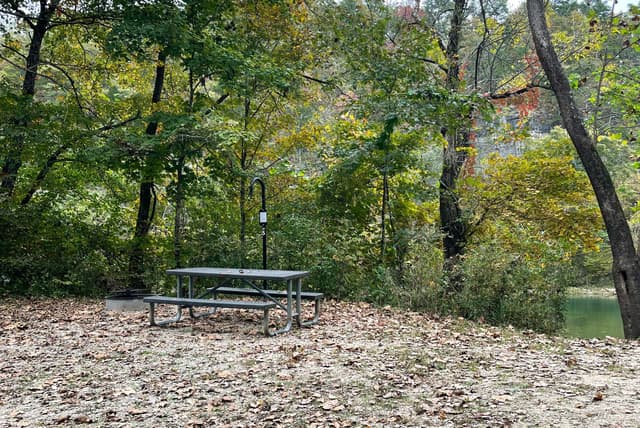 Cedar Spring Campsite 5
