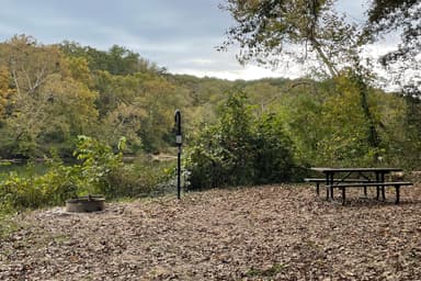 Cedar Spring Campsite 6