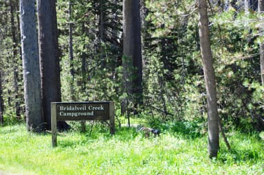 Bridalveil Campground