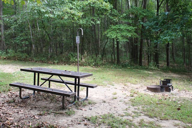 Picnic Table and Fire Pit
