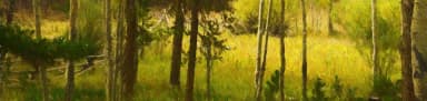 lc-hero, filed by the agency against 2 campsites at Lost Cabin Campground