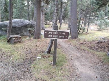 An image the agency filed against 4 campsites at Wrights Lake