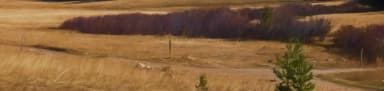 sb-hero, filed by the agency against 6 campsites at Sitting Bull