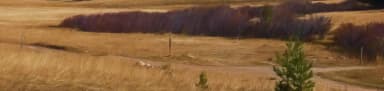 Sitting Bull, filed by the agency against 3 campsites at Sitting Bull