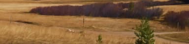 sb-hero, filed by the agency against 3 campsites at Sitting Bull