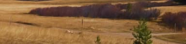 sb-hero, filed by the agency against 7 campsites at Sitting Bull