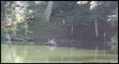 Fox 2 Landing photo., filed by the agency against 2 campsites at Sylvania Wilderness Backcountry Camping