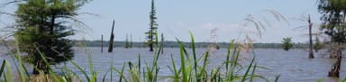 COTTONSHED PARK, filed by the agency against 2 campsites at Cottonshed Park (AR)
