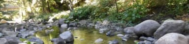 Fiddle Creek, filed by the agency against 4 campsites at CAL-IDA