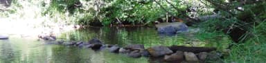 Chapman Creek, filed by the agency against 2 campsites at Chapman