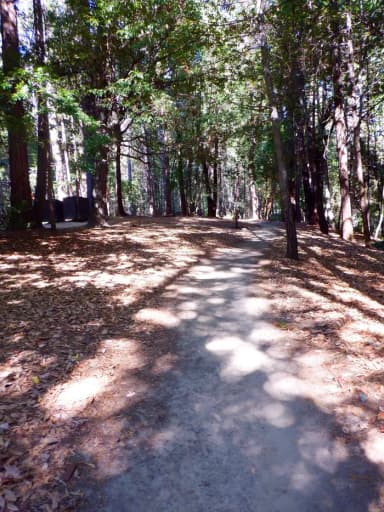 Walking Path to Campsite, filed by the agency against 3 campsites at Dark Day Campground