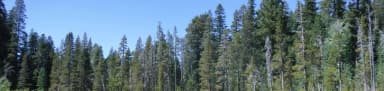 Yuba Pass, filed by the agency against 3 campsites at Yuba Pass Campground