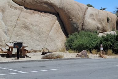 Parking for campsite., filed by the agency against 2 campsites at Jumbo Rocks Campground