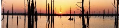 Sunset at Sardis Lake, filed by the agency against 7 campsites at Oak Grove (MS)