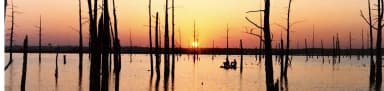 Sunset at Sardis Lake, filed by the agency against 5 campsites at Oak Grove (MS)