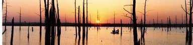 Sunset on Sardis Lake, filed by the agency against 4 campsites at Oak Grove (MS)