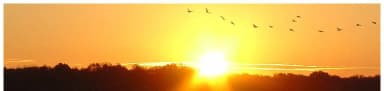 Sunrise, filed by the agency against 36 campsites at Dub Patton Campground