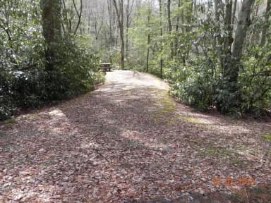 Campsite, filed by the agency against 2 campsites at Beartree