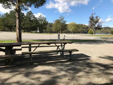 OBEY RIVER PARK SITE #71 PICNIC TABLE-SITE NEAR TRAILER PARKING, filed by the agency against 2 campsites at Obey River Park