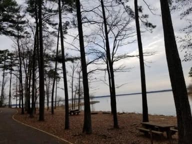 T2 Area, filed by the agency against 14 campsites at Brushy Creek